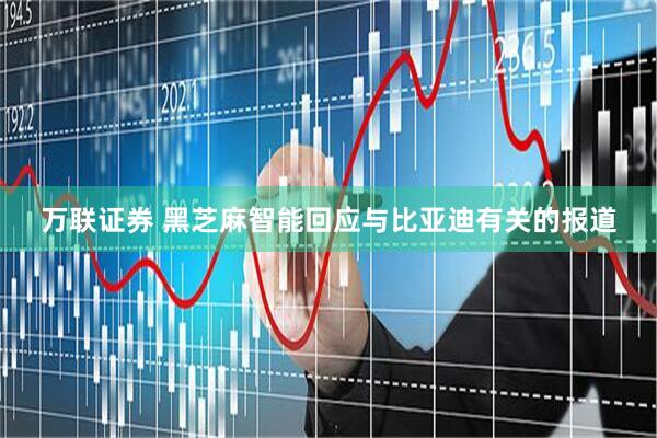 万联证券 黑芝麻智能回应与比亚迪有关的报道