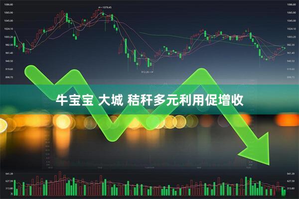 牛宝宝 大城 秸秆多元利用促增收