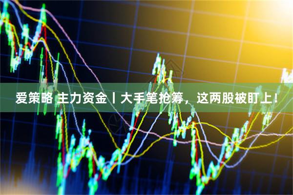 爱策略 主力资金丨大手笔抢筹，这两股被盯上！
